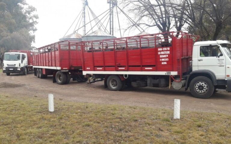 Los transportistas de hacienda reclaman a los frigoríficos exportadores por mejores condiciones de trabajo