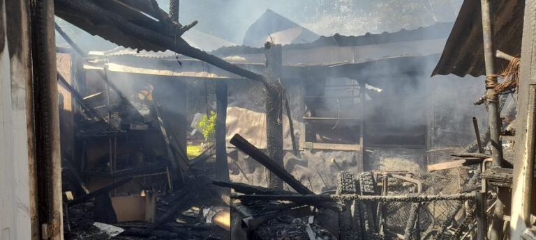Voraz incendio destruyó una casa y hectáreas de vegetación