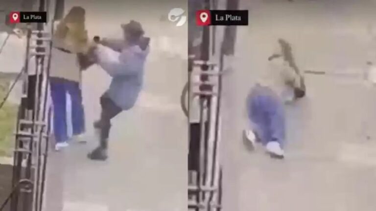 Por violento robo a una censista en La Plata detuvieron a un joven en Berisso