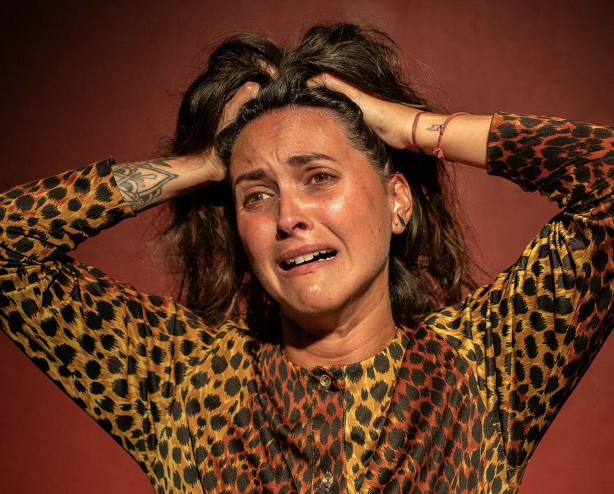 "Los seis unipersonales son laburos creados entre director y actor desde cero" "Los seis unipersonales son laburos creados entre director y actor desde cero"