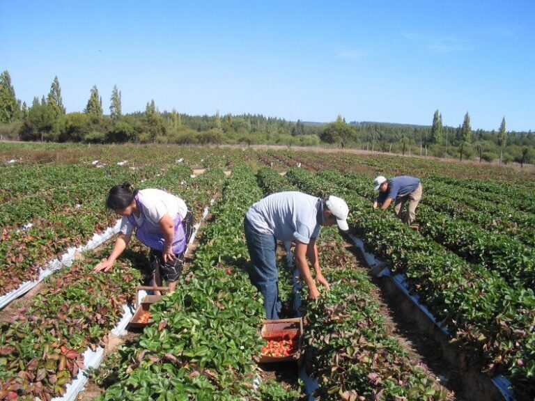 Provincia lanzó el programa “Desarrollo Rural Bonaerense”