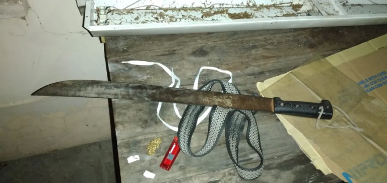 Moreno: así cayó el asesino del machete