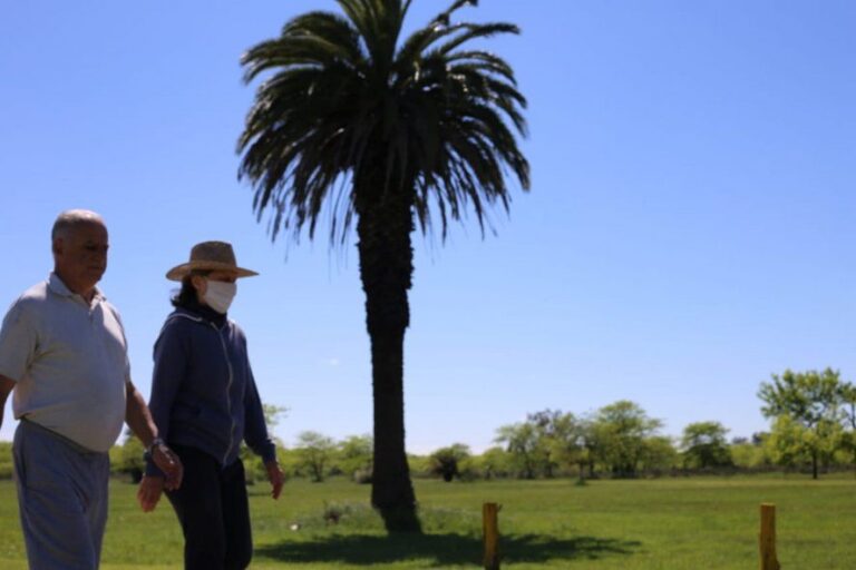 Pronóstico: el tiempo para el 29 de diciembre