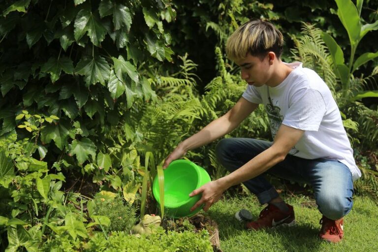 Verano y mosquitos: 4 tips para prevenir el dengue en casa