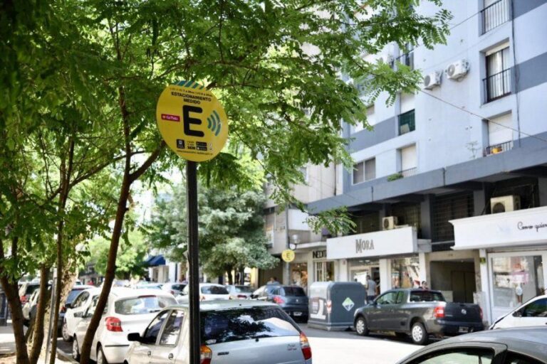 ¿Cómo funcionan los servicios municipales durante el feriado en La Plata?