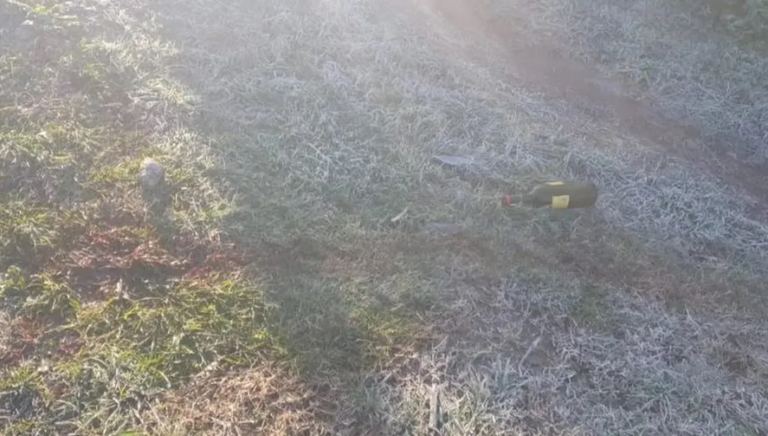 Mar del Plata: conmoción por el atroz crimen de dos jóvenes