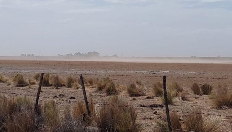Hay 44 municipios bonaerenses afectados de modo severo por la sequía