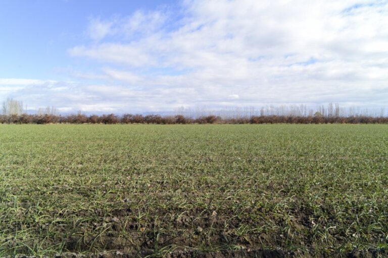 Por la sequía, la Provincia recibirá 8.500 millones de dólares menos que en 2022