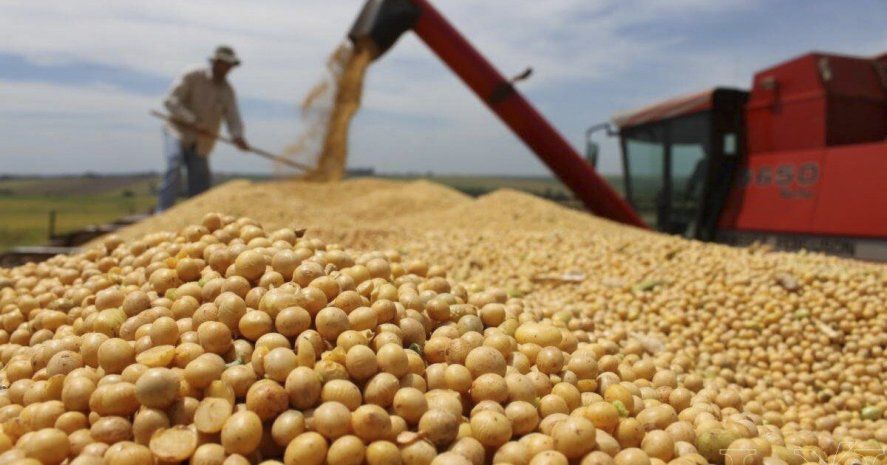 El biodiésel se genera a partir del aceite de soja, y puede ser mezclado con el GNC.