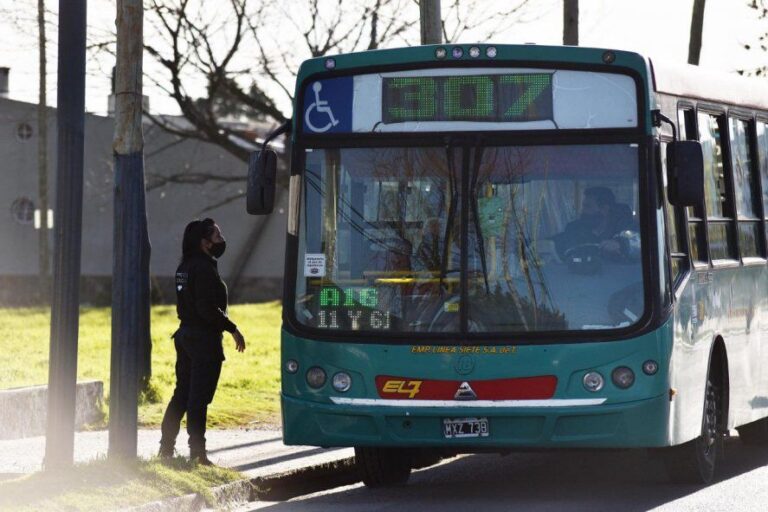 La Plata: se redujo a la mitad el uso de transporte público