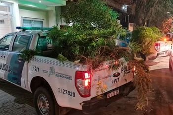 zarate: un panadero, marihuana y un brutal crimen