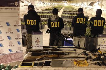 La plantación fue hallada al lado de la ruta 8 a la altura del kilómetro 174