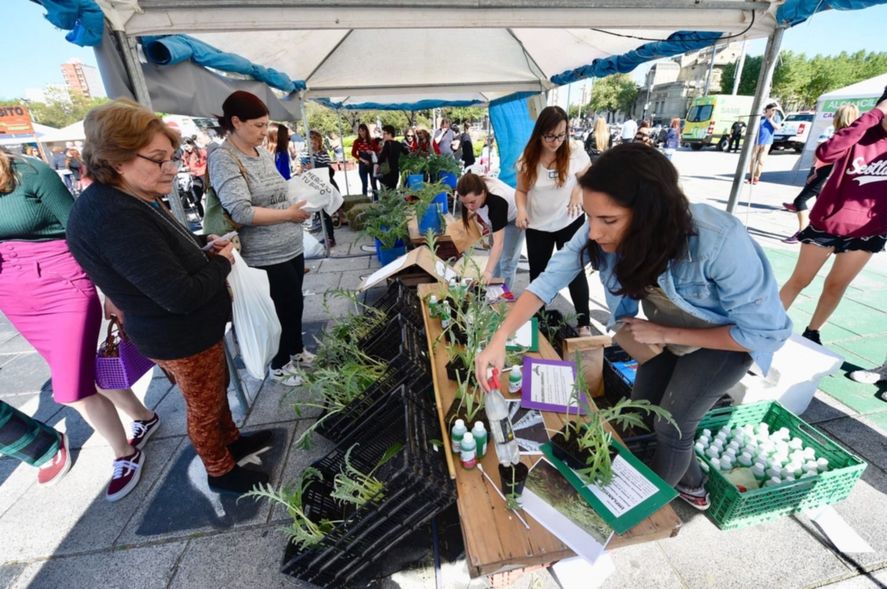 Fiesta del Alcaucil en la rambla de la avenida 137 entre 60 y 66, Los Hornos