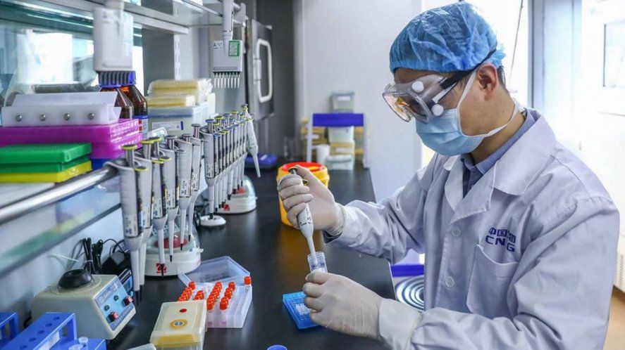 Nuevos estudios sobre células alientan esperanza sobre el lapso de inmunidad 