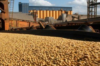 Exportaciones: El campo tuvo liquidaciones récord en agosto