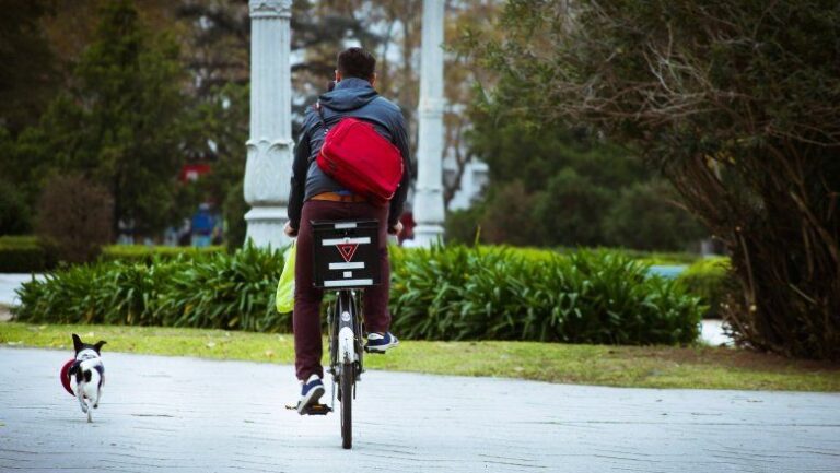 ¿Ya hiciste planes? Mirá cómo estará el clima durante la segunda semana de vacaciones de invierno