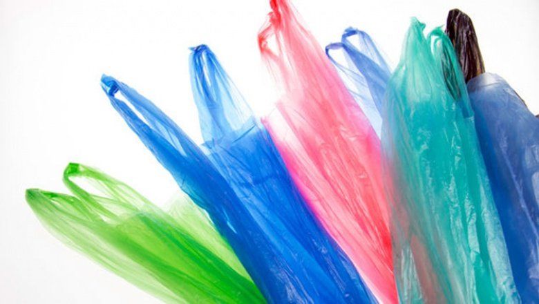 Medio ambiente: El primer lugar en contaminantes lo tienen las bolsas plásticas