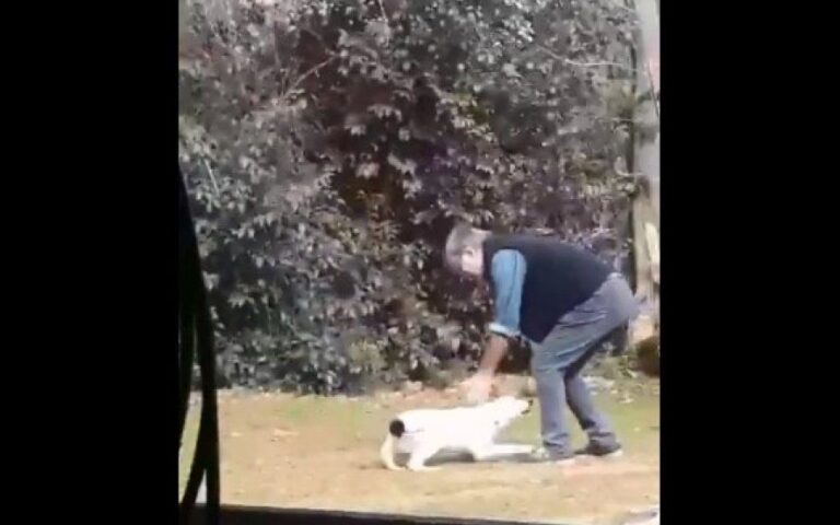 “Que ni se te ocurra traer ese perro Delfina, yo en casa no lo quiero”: mirá la reacción del papá 4 meses después