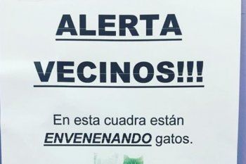?¡cuide a sus mascotas!?: alarma en la plata por la aparicion de perros y gatos envenenados