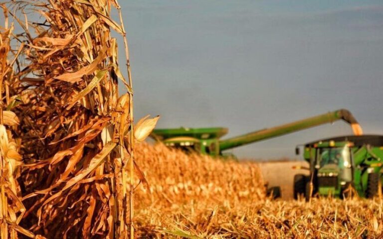 Por qué el campo asegura que el Gobierno “castiga” a productores