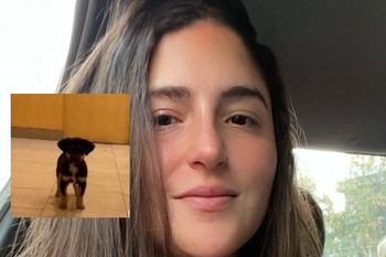disputas por la cheta que le robo el perro a un linyera en recoleta