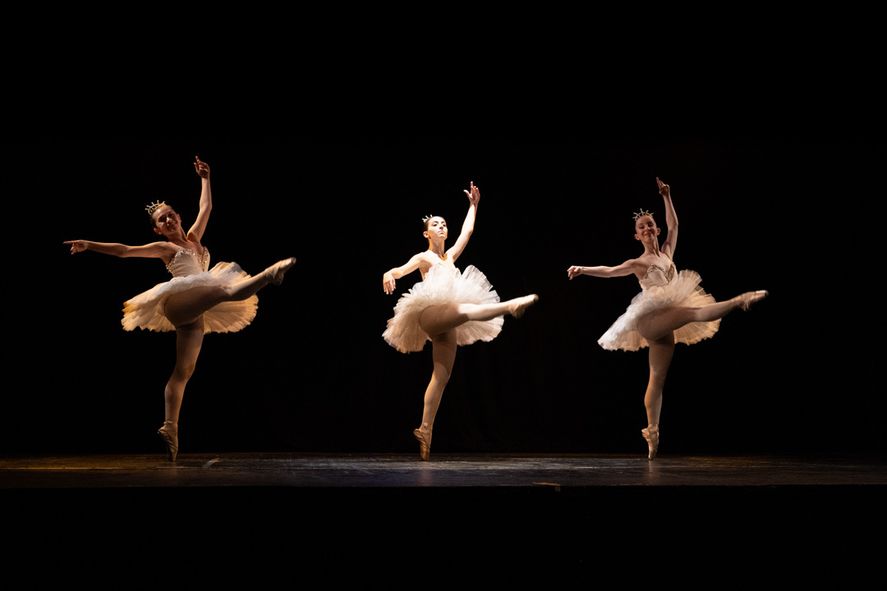 La Escuela ofrece a la comunidad las carreras de Danza Clásica, Danza Contemporánea y Expresión Corporal La Escuela ofrece a la comunidad las carreras de Danza Clásica, Danza Contemporánea y Expresión Corporal