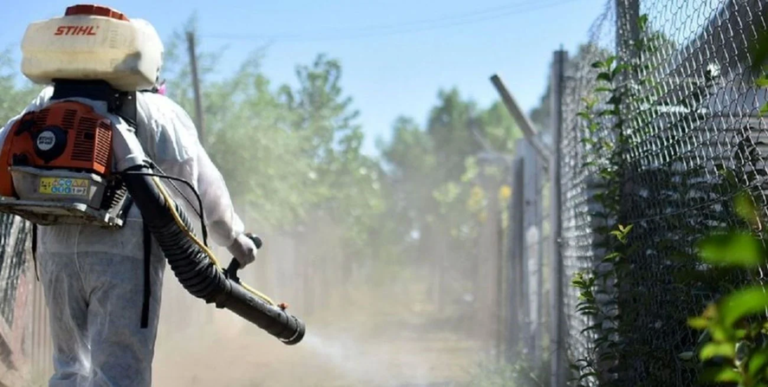 Fumigación en los barrios para frenar la propagación del Dengue en La Plata