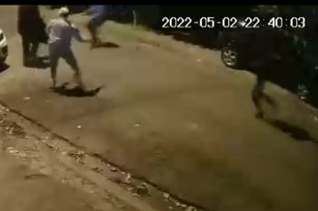 la tablada: mira el brutal ataque de piranas a un profesor