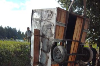 tragedia en berisso: murieron tres menores en un incendio