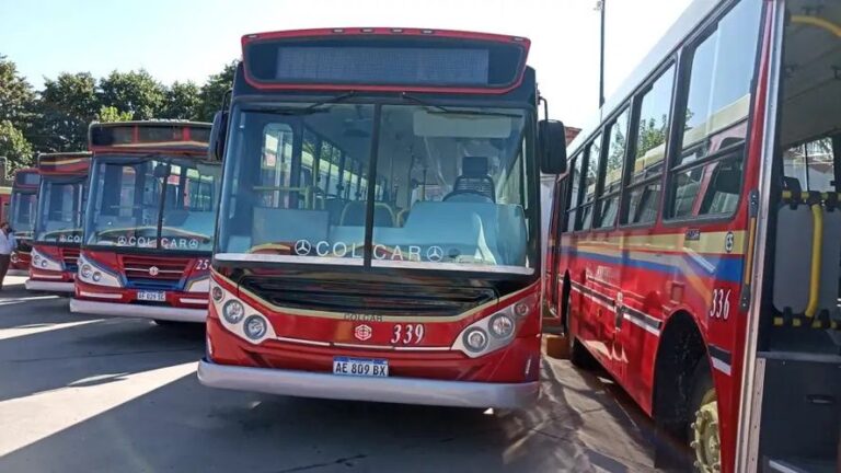 Inseguridad en colectivos: un chofer y una pasajera resultaron heridos en dos asaltos