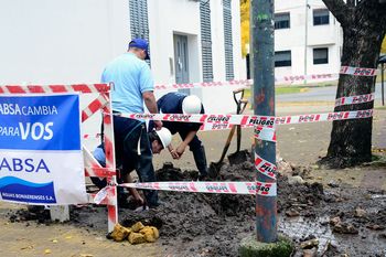 sequia, robos, danos e intimacion: el panorama de absa en el gran la plata
