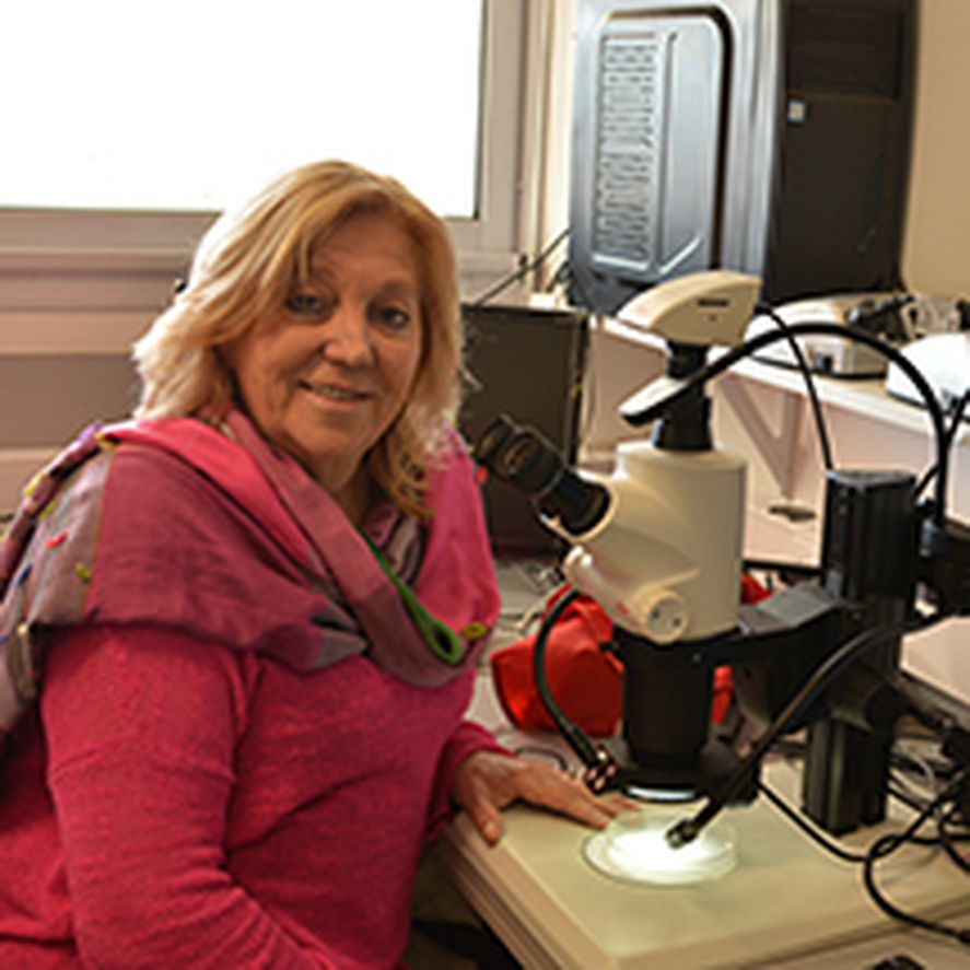 Doctora Alda González investigadora del CONICET La Plata