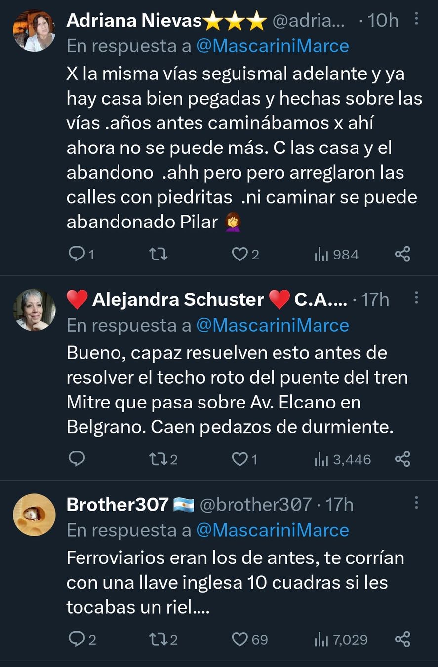 Algunos de los comentarios que provocó la construcción sobre las vías de un ramal que pasa por el distrito bonaerense de Pilar Algunos de los comentarios que provocó la construcción sobre las vías de un ramal que pasa por el distrito bonaerense de Pilar