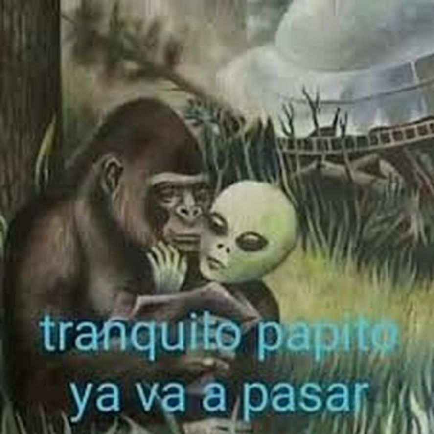 Algunos de los memes y comentarios de usuarios de redes sociales por la separación de Rodrigo de Paul y Tini Stoessel Algunos de los memes y comentarios de usuarios de redes sociales por la separación de Rodrigo de Paul y Tini Stoessel