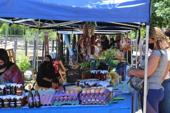 almirante brown: ¿donde comprar productos de almacen, carne y verduras a bajo costo?