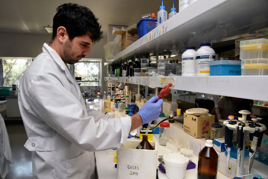 Los voluntarios participarán de los ensayos clínicos de la fase 3 del desarrollo de la vacuna contra el COVID-19