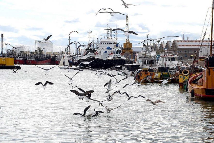 Hay actividades variadas para hacer durante las vacaciones de invierno en Bahía Blanca