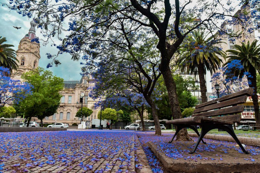 La agenda de actividades de Bahía Blanca ofrece diversas propuestas en vacaciones de invierno