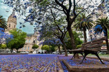 ¿conoces bahia blanca? recorrela en estas 10 fotos 