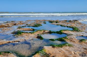 San Cayetano, un partido que tiene lagunas, mar y un museo a cielo abierto. 