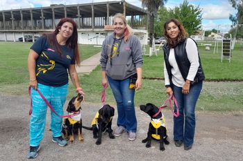 presos de una carcel de sierra chica adiestraran a perros de asistencia