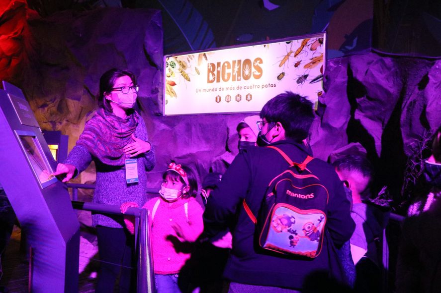 Empiezan las vacaciones de invierno: Te mostramos qué hacer este fin de semana