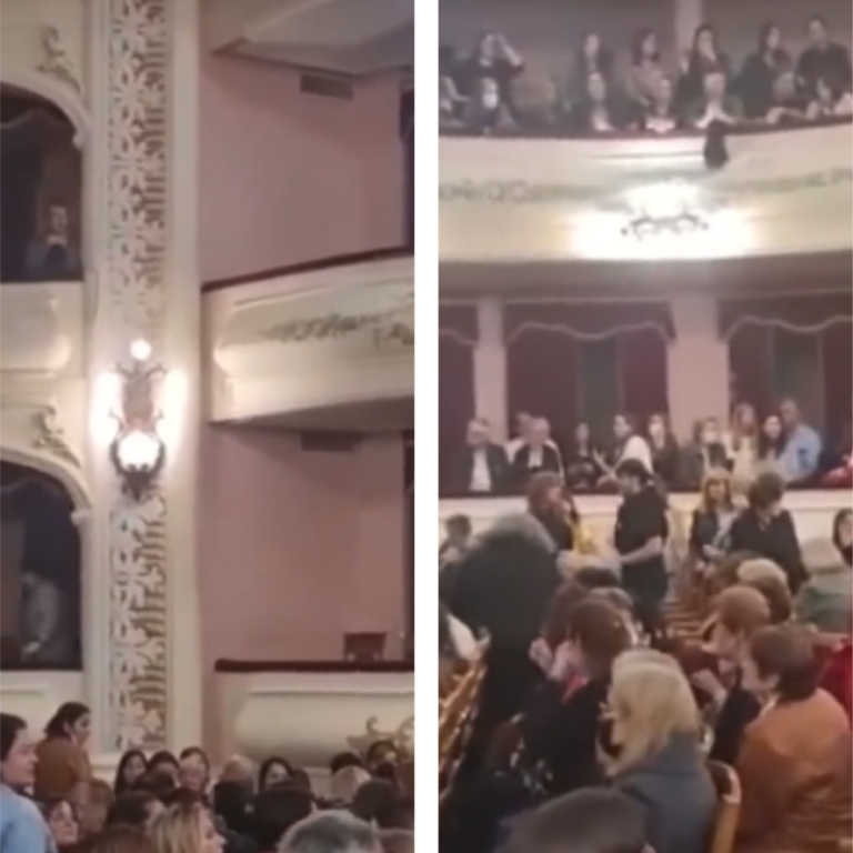 Insólito: Un perro se cayó sobre una espectadora en un teatro