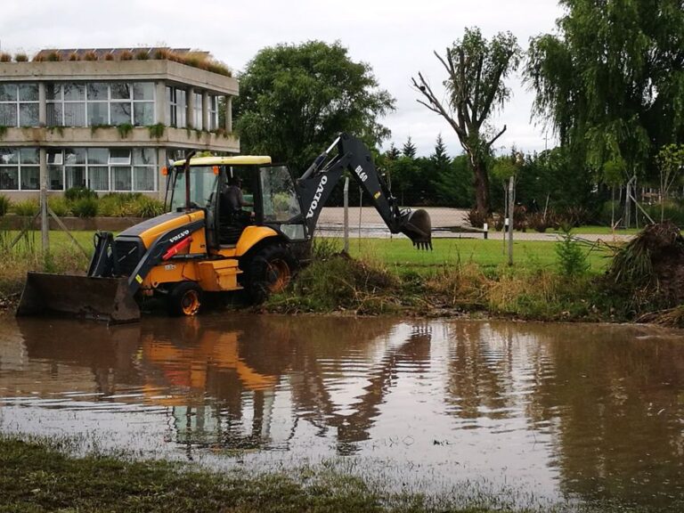 Tras el temporal en el sudoeste, buscan soluciones desde la Legislatura