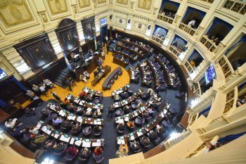 Diputados: debaten la regulación del cannabis industrial