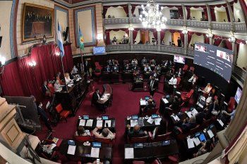 Quiénes ingresaron al Senado y quiénes lograron renovar sus bancas tras las elecciones legislativas en la provincia de Buenos Aires.