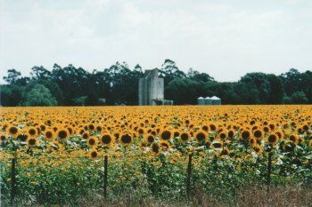 la provincia busca potenciar las tecnologias agricolas y prepara una incubadora
