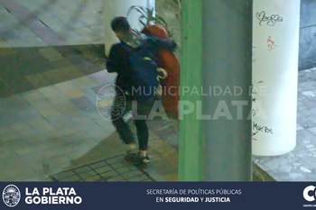 Robó plantas, lo descubrieron por las cámaras y las devolvió