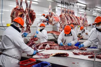 Las exportaciones de carne tendrán un cupo ilimitado, pero no se expenderán cortes populares al exterior