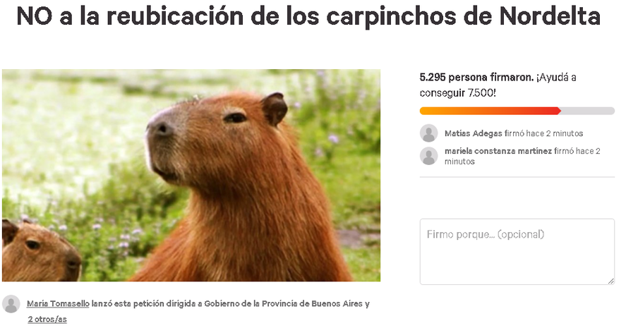 Grupos de vecinos juntan firmas para que no reubiquen a los carpinchos